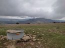 La Rippe